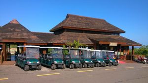 8座高尔夫球车使用在海南大亚湾